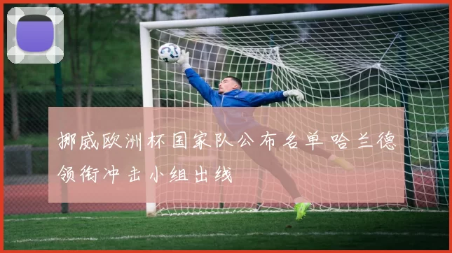 挪威欧洲杯国家队公布名单 哈兰德领衔冲击小组出线