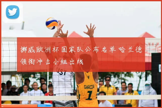 挪威欧洲杯国家队公布名单 哈兰德领衔冲击小组出线